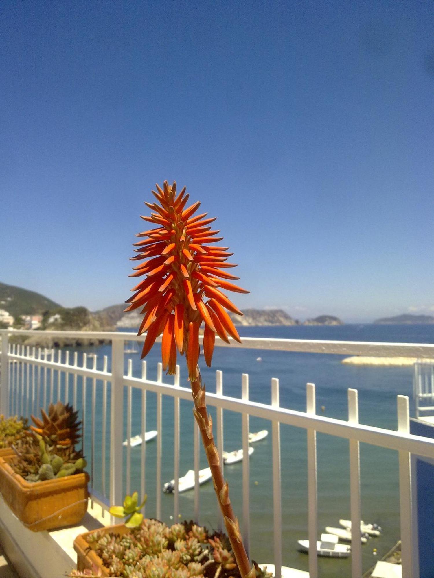 Hotel La Baia ปอนซา ภายนอก รูปภาพ